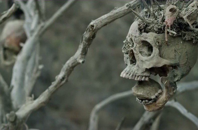 Bone Tomahawk ~ Review