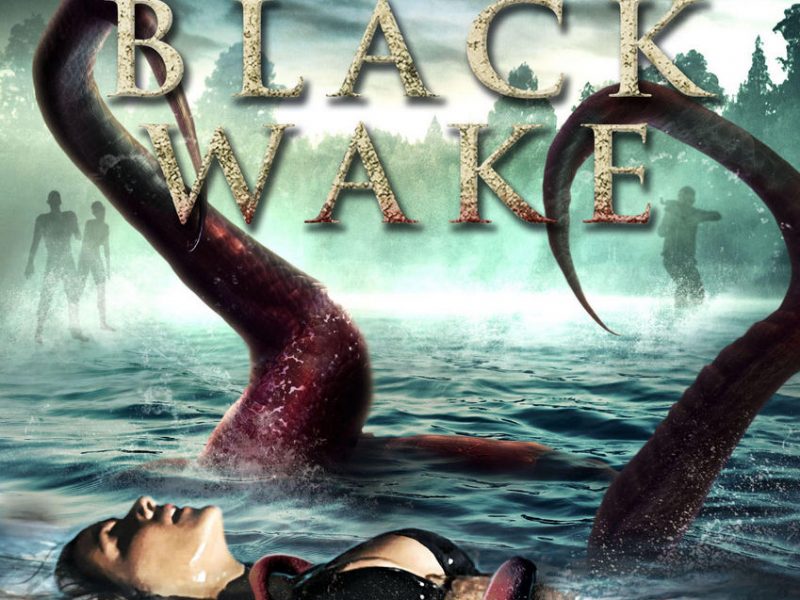 Black Wake ~ Review