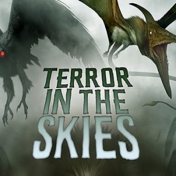 Terror in the Skies ~ Review
