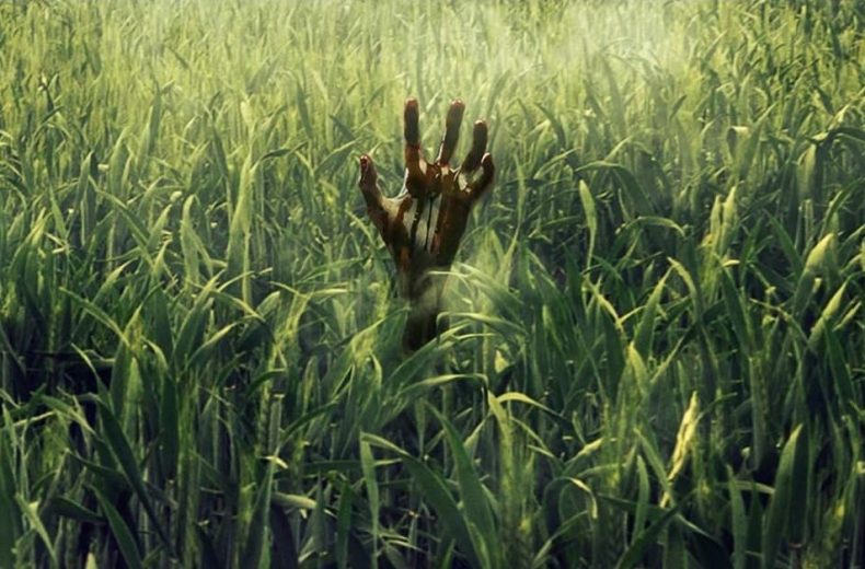 In the Tall Grass ~ Review
