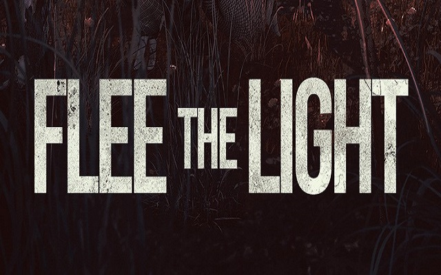 Flee the Light ~ Review