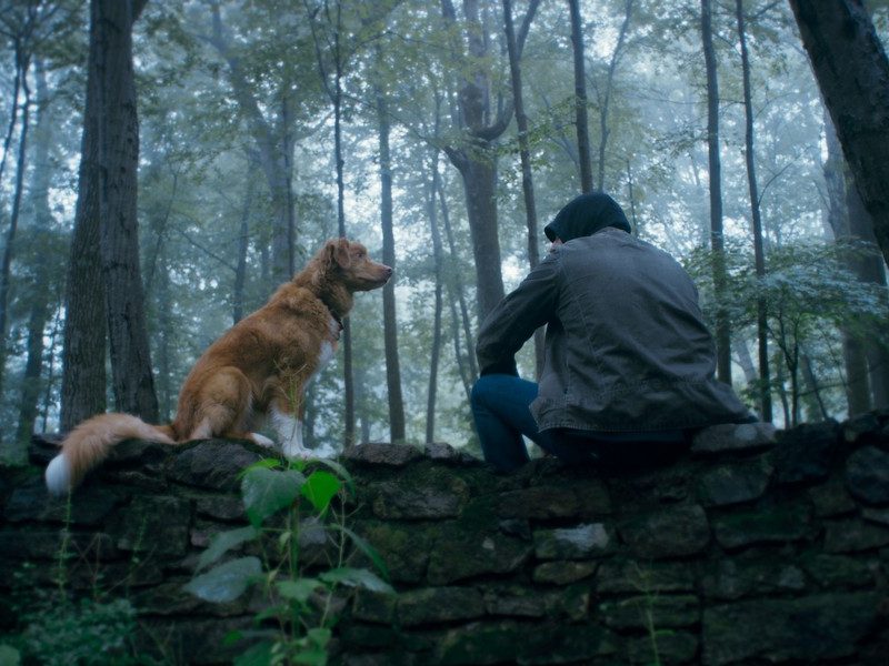 Good Boy – Indy and Todd 2
