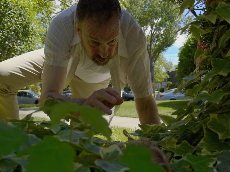 MV5BNDZhNGE1OGItYmNlYi00ZjZmLTkwMzctMzdmZTQ2MjEyY2Y3XkEyXkFq (1)