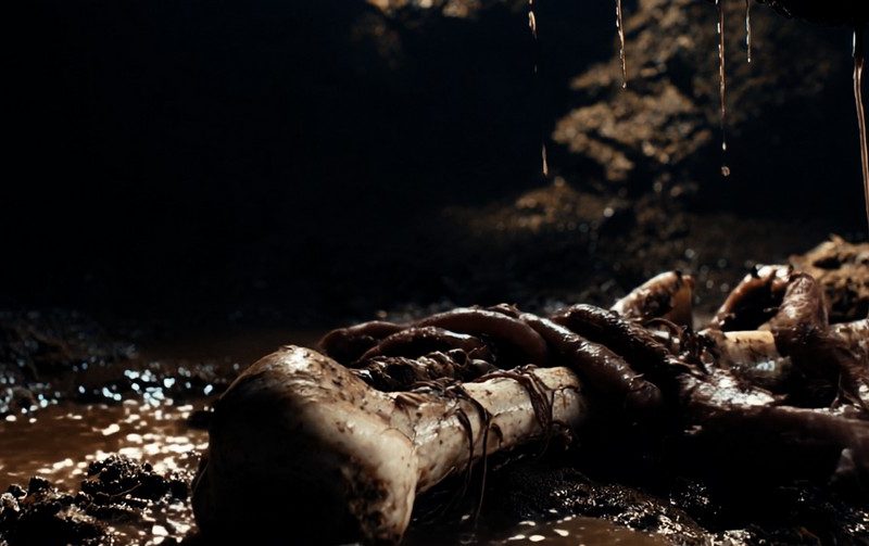 Bones in cave