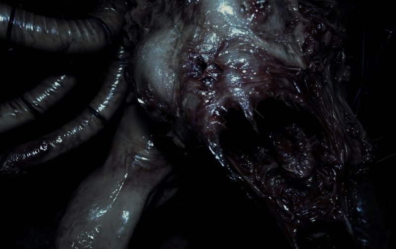 Creature face
