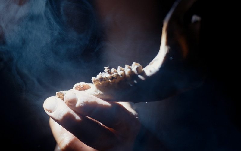 Jaw